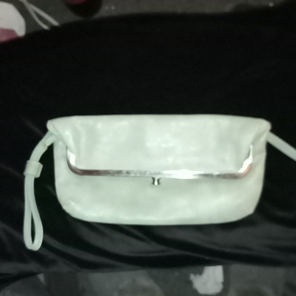 Clutch/ Wristlet